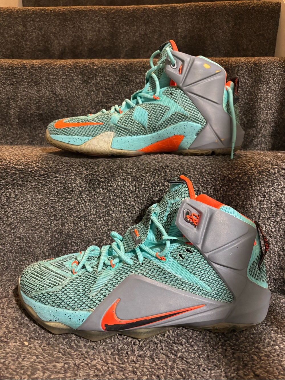 Nike LeBron 12 NSRL - Size 13  good condition